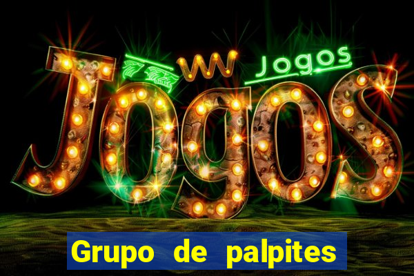 Grupo de palpites de futebol gratis